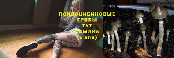 гидропоника Нефтекумск