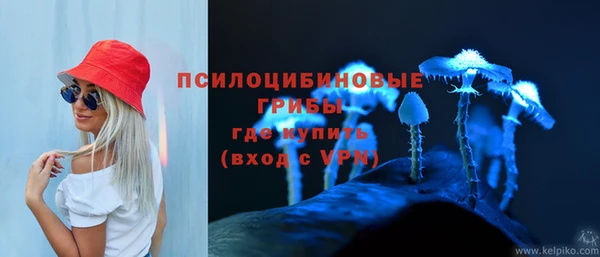 трава Нея
